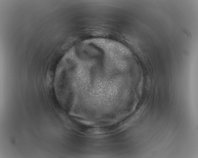 X0000113330273200910051152