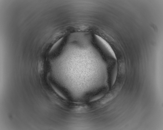 X0000113330274200910051152