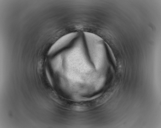 X0000113330275200910051152