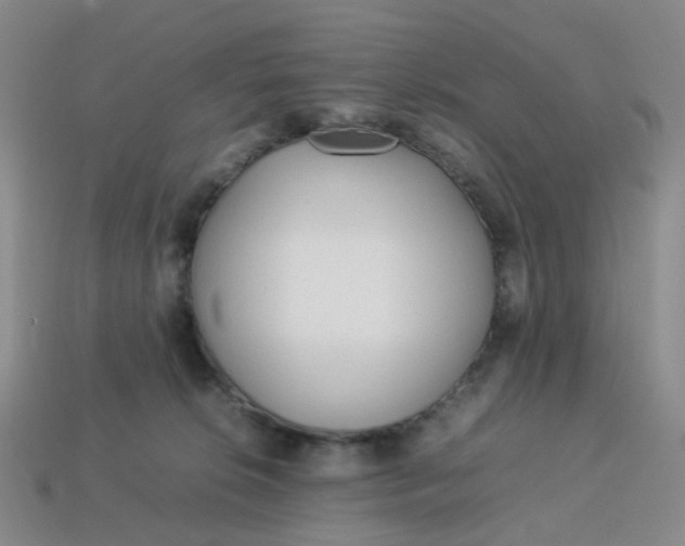 X0000113330276200910051152