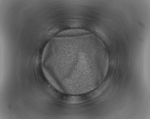 X0000113330277200910051152