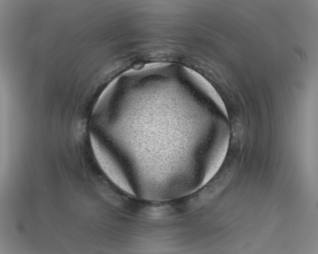 X0000113330278200910051152