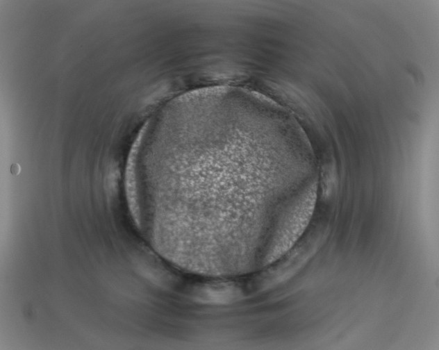 X0000113330279200910051152