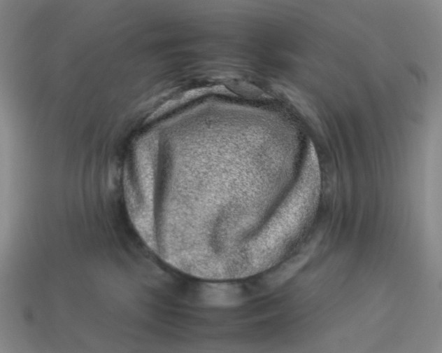 X0000113330281200910051152
