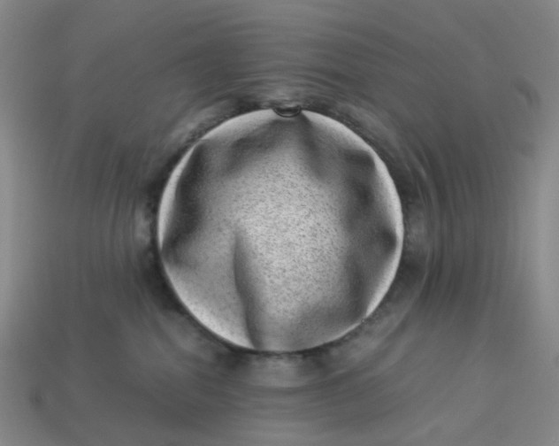 X0000113330282200910051152