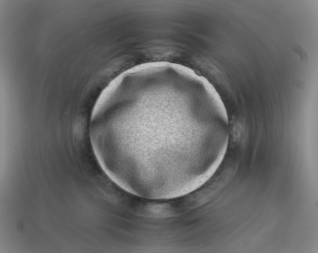 X0000113330283200910051152