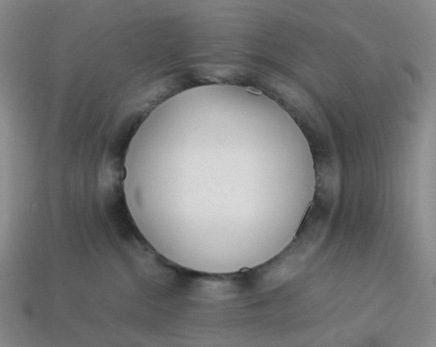 X0000113330284200910051152