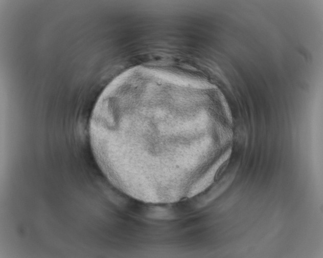 X0000113330285200910051152