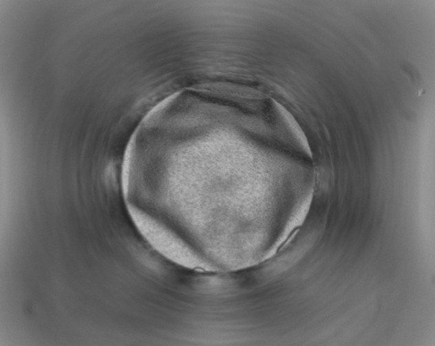 X0000113330286200910051152
