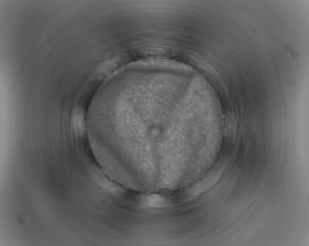 X0000113330287200910051152