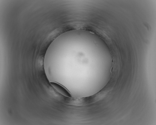 X0000113330288200910051152