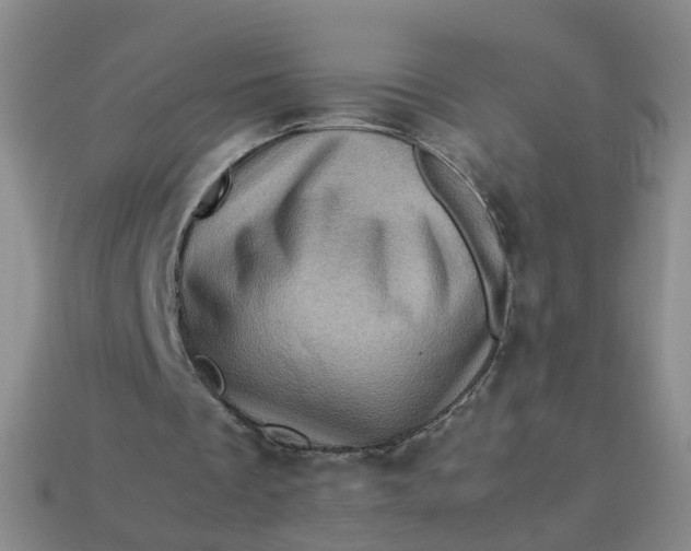 X0000113330289200910051152