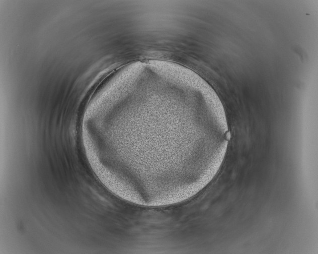 X0000113330290200910051152