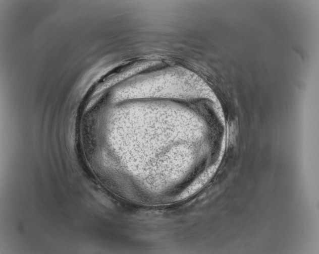 X0000113330291200910051152