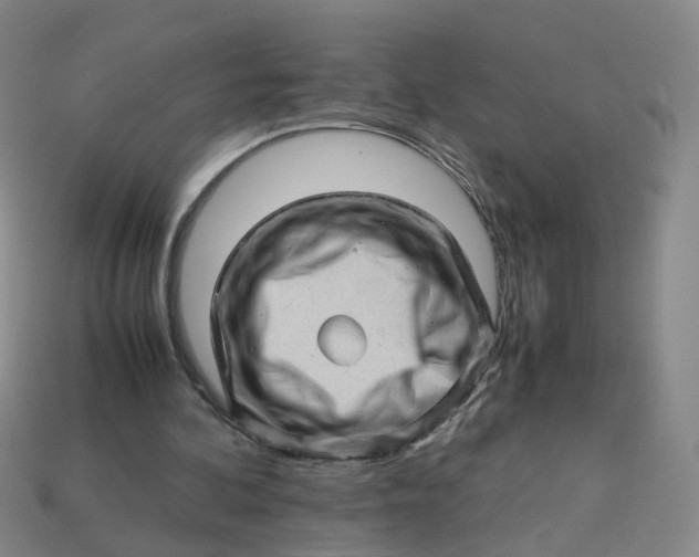 X0000113330292200910051152