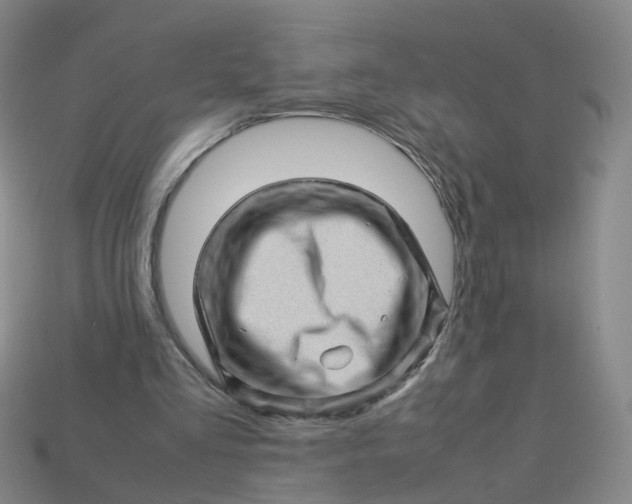 X0000113330293200910051152