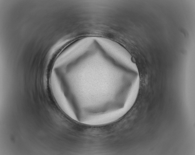 X0000113330294200910051152