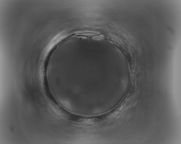 X0000113330295200910051152