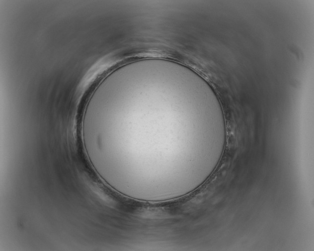 X0000113330296200910051152