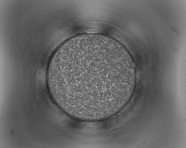 X0000113330297200910051152