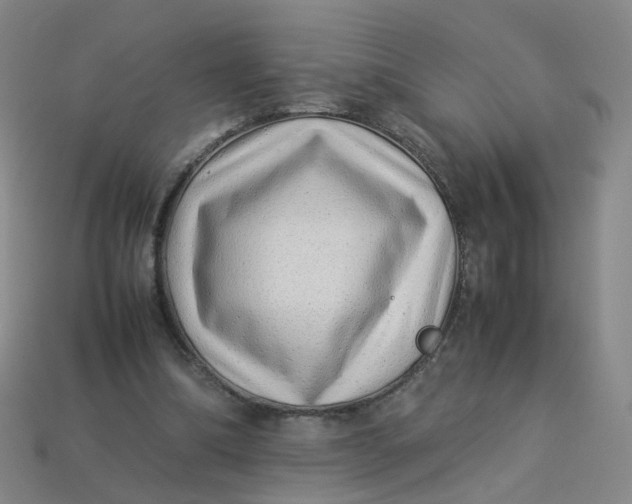 X0000113330298200910051152