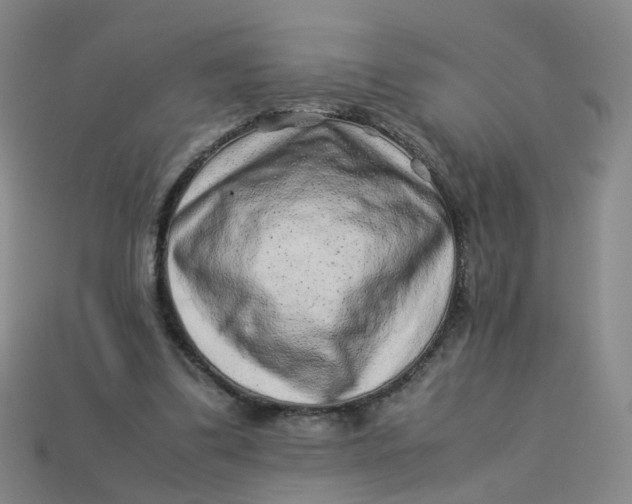 X0000113330299200910051152