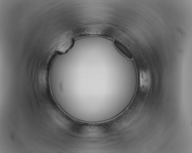 X0000113330300200910051152