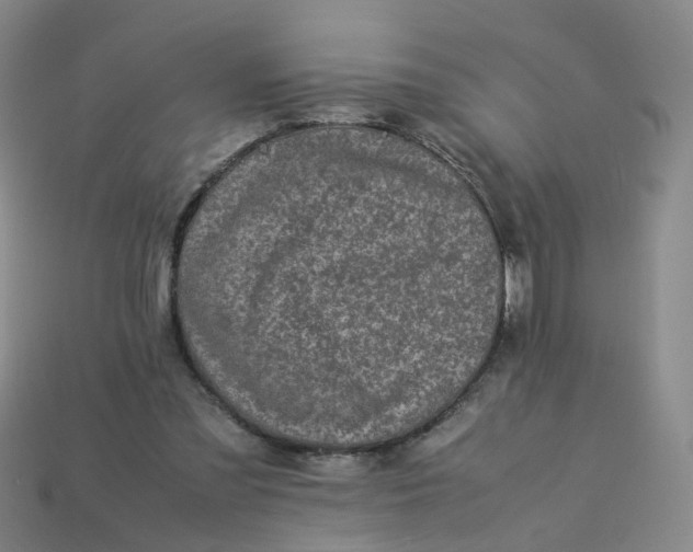 X0000113330301200910051151