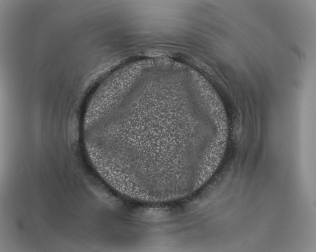 X0000113330303200910051151