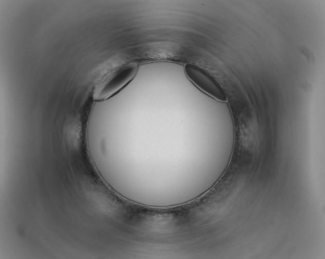 X0000113330304200910051151
