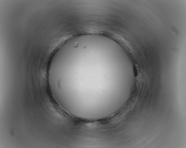 X0000113330306200910051151