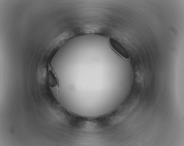 X0000113330308200910051151