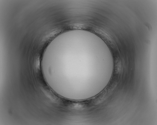 X0000113330310200910051151