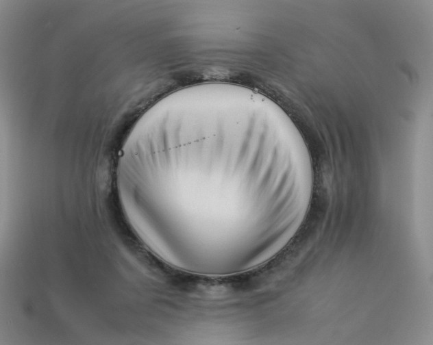 X0000113330311200910051151