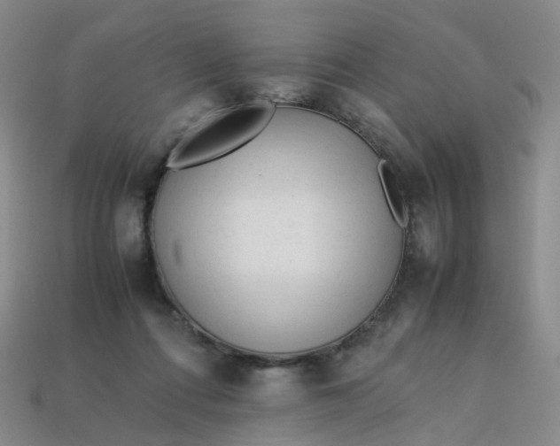X0000113330312200910051151