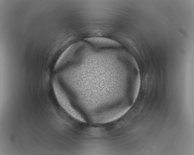 X0000113330314200910051151