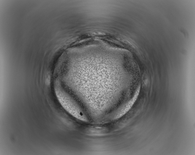 X0000113330315200910051151