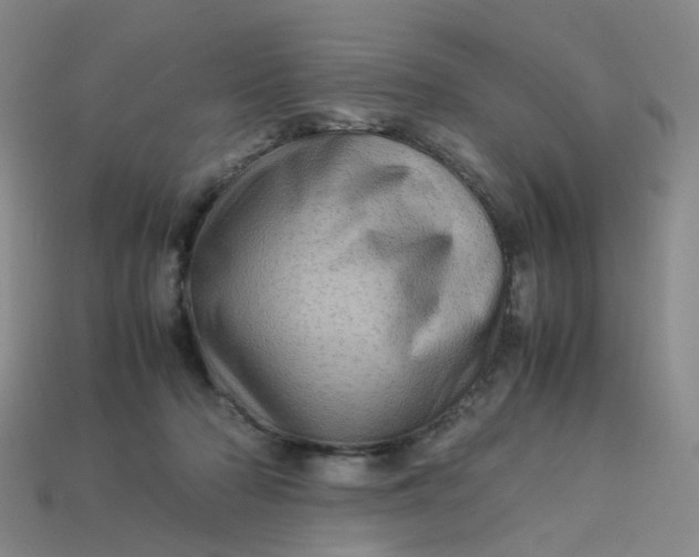 X0000113330318200910051151