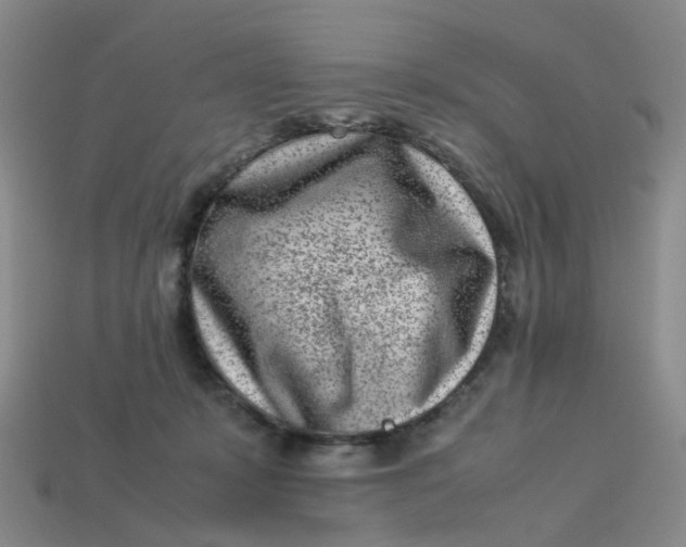 X0000113330319200910051151