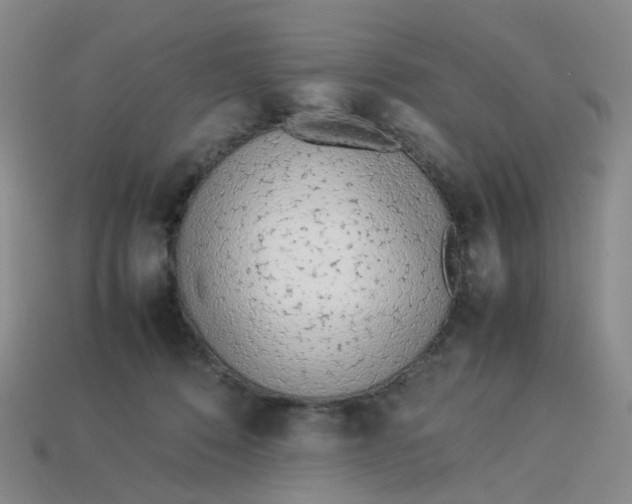 X0000113330320200910051151