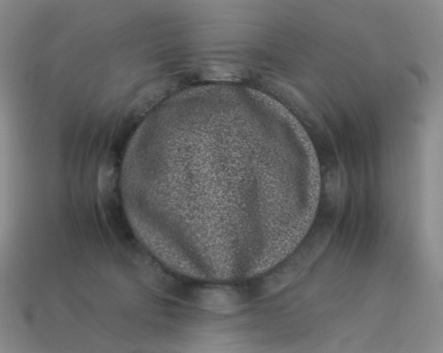 X0000113330322200910051151