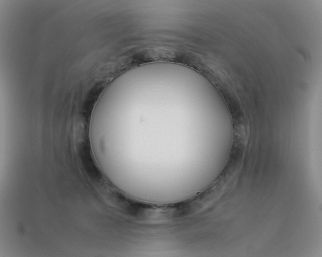 X0000113330323200910051151
