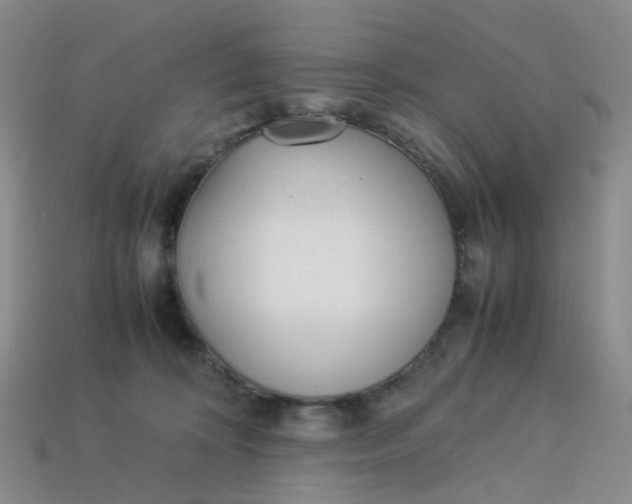 X0000113330324200910051151