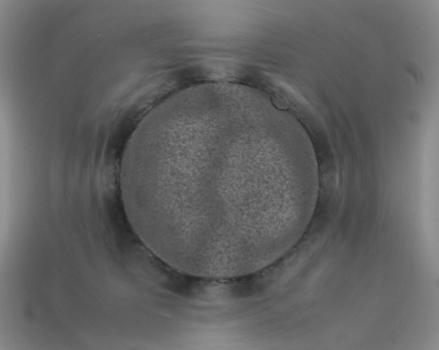 X0000113330325200910051151