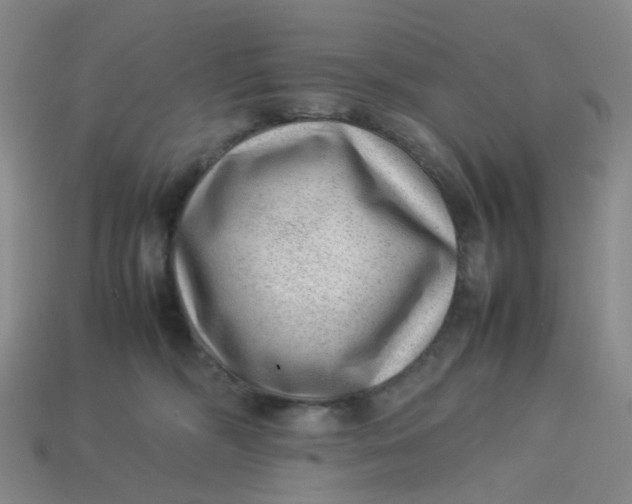 X0000113330326200910051151