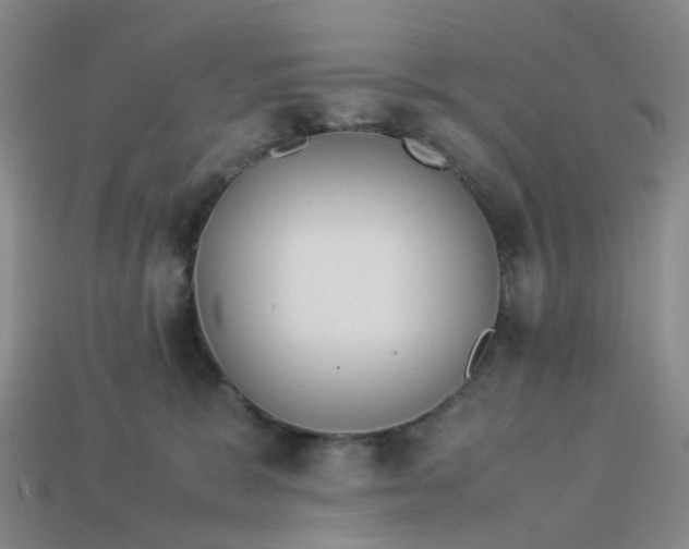 X0000113330327200910051151