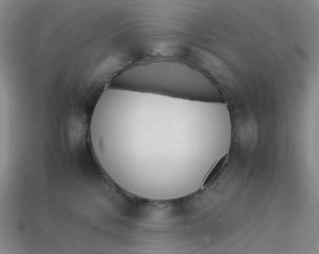 X0000113330328200910051151