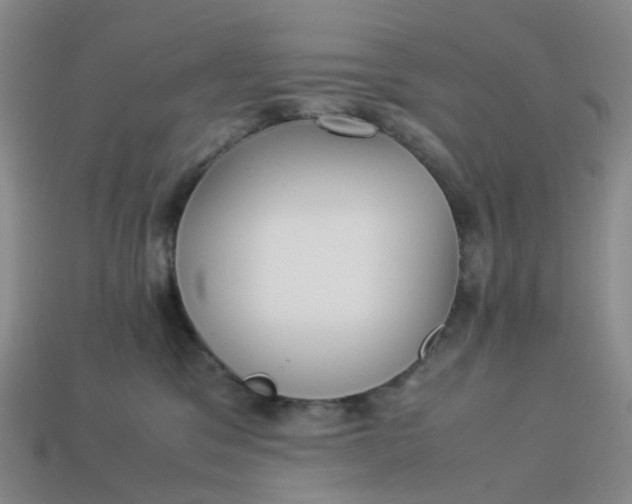 X0000113330329200910051151