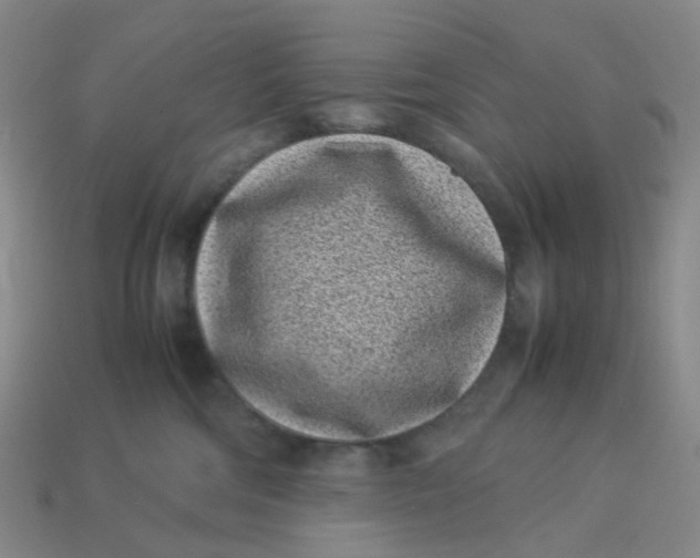 X0000113330330200910051151