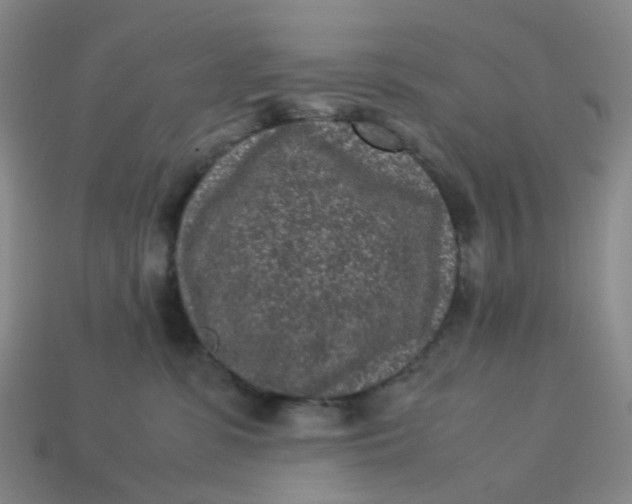 X0000113330331200910051151